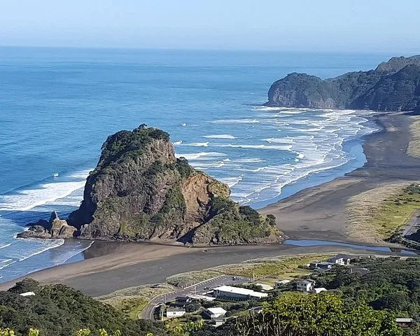 Afternoon Piha Beach and Rainforest Tour from Auckland