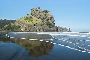 Coast and Rainforest Eco-Tour from Auckland with Lunch