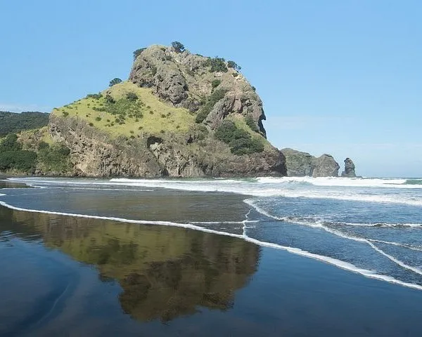 Coast and Rainforest Eco-Tour from Auckland with Lunch