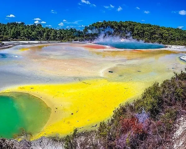 Rotorua Highlights Small Group Tour with Optional Extra Activities from Auckland